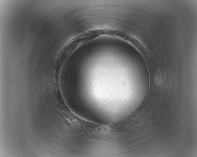 X0000064730968200602101145