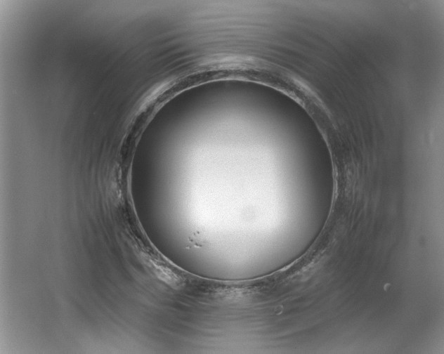 X0000064730970200602101145