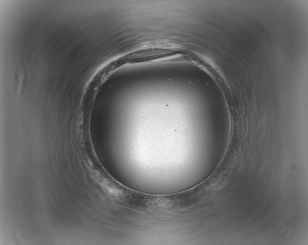 X0000064730971200602101145