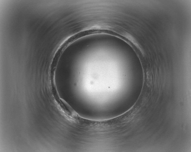 X0000064730972200602101145