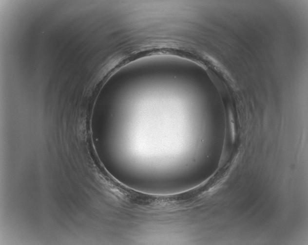 X0000064730977200602101145