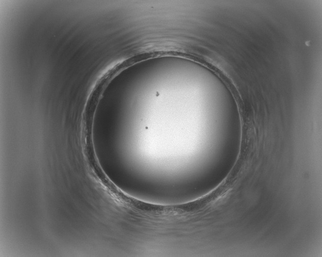 X0000064730979200602101145