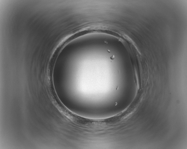 X0000064730981200602101145