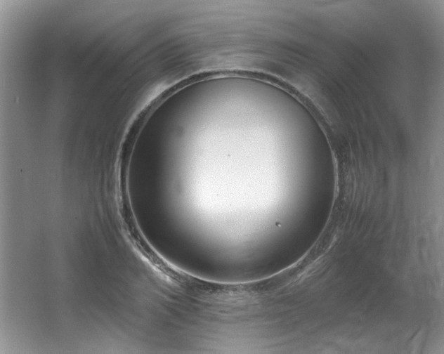 X0000064730982200602101145