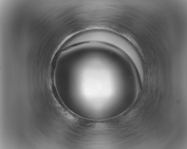 X0000064730984200602101145