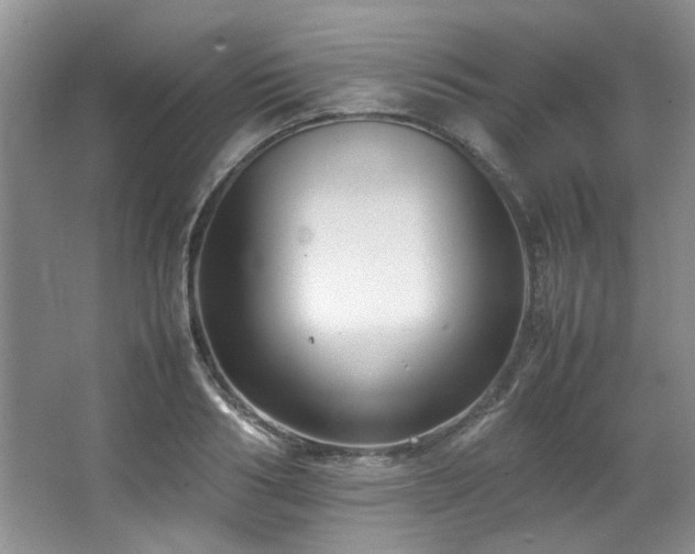 X0000064730986200602101145