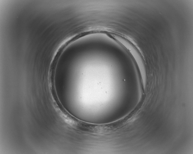 X0000064730987200602101145