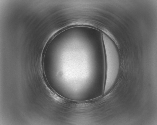 X0000064730988200602101145