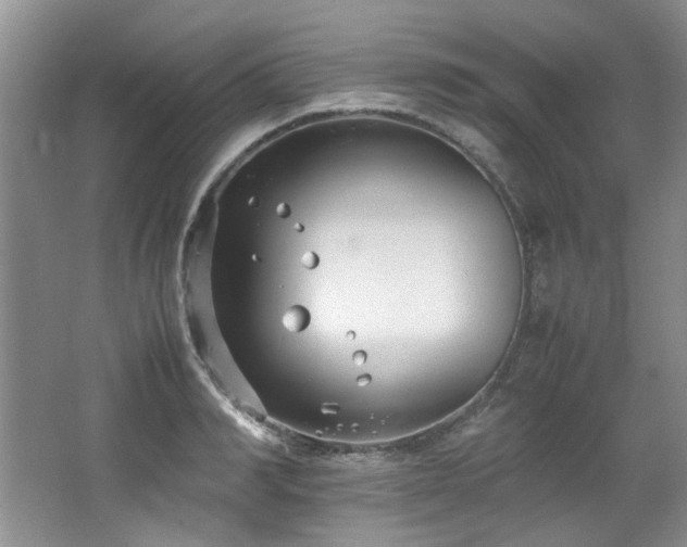 X0000064730990200602101145