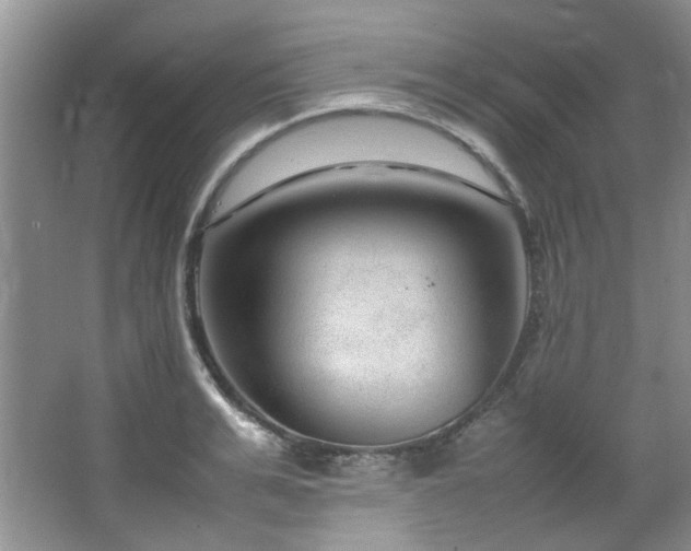 X0000064730991200602101145