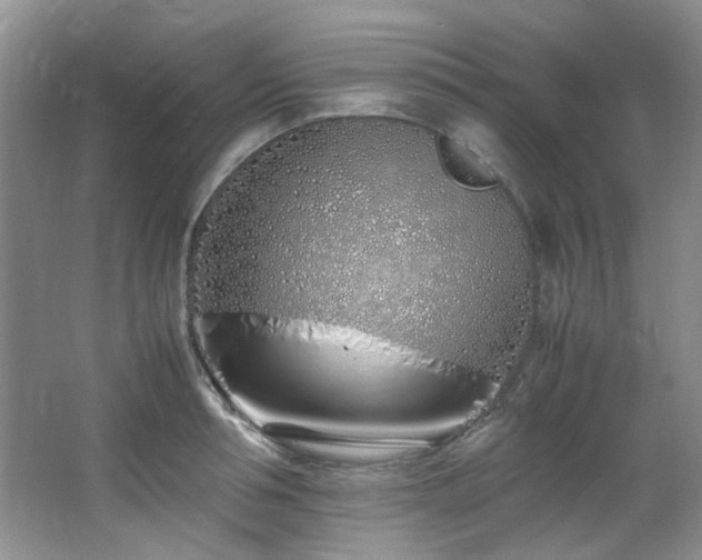 X0000064730994200602101145