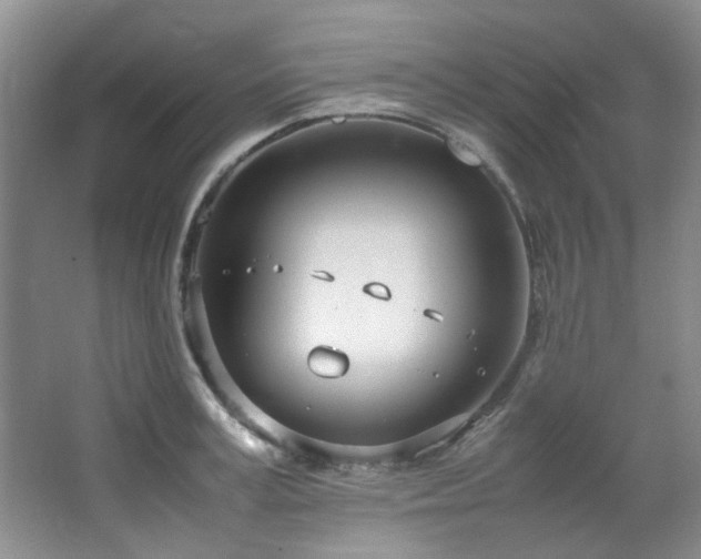 X0000064730995200602101145