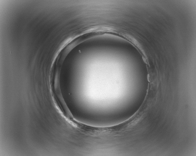 X0000064730997200602101145