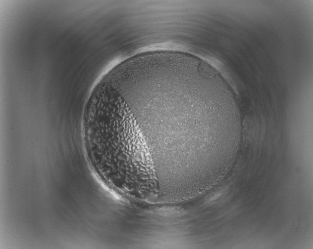 X0000064730998200602101145