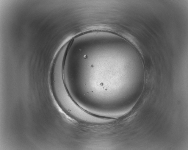 X0000064730999200602101145