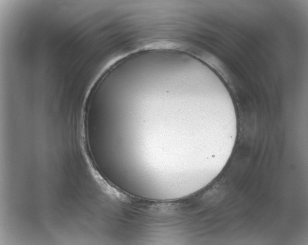 X0000064731000200602101145