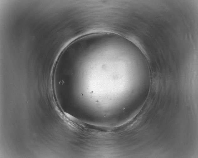 X0000064731004200602101145