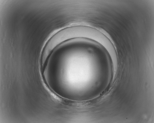 X0000064731005200602101145