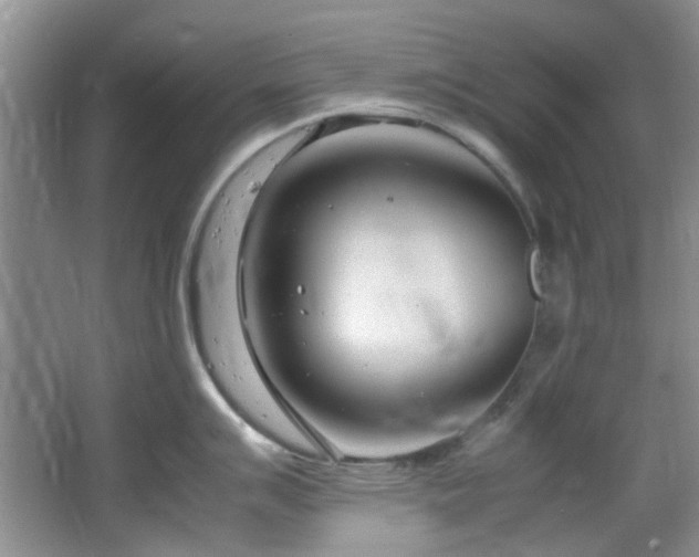 X0000064731007200602101145