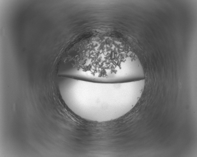 X0000064731009200602101144