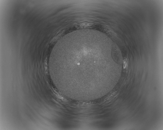 X0000064731011200602101144