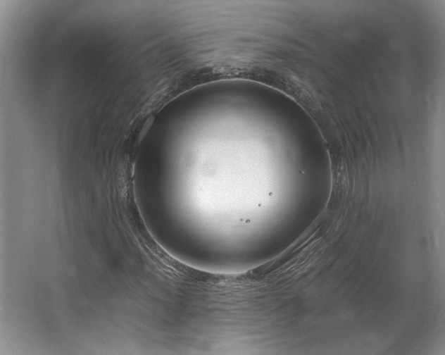 X0000064731012200602101144