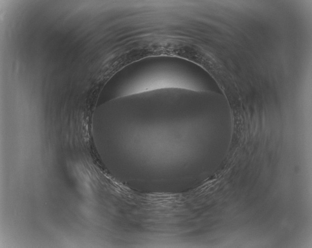 X0000064731013200602101144