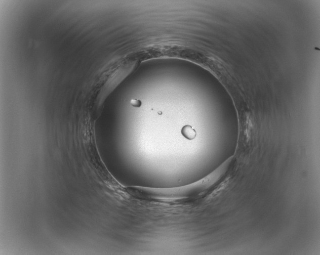 X0000064731014200602101144