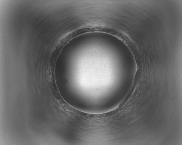 X0000064731016200602101144