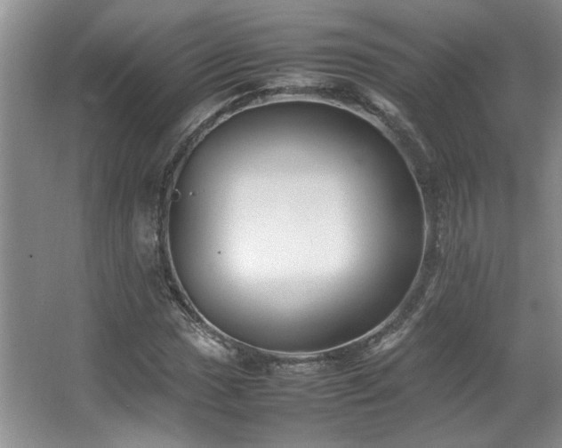 X0000064731017200602101144