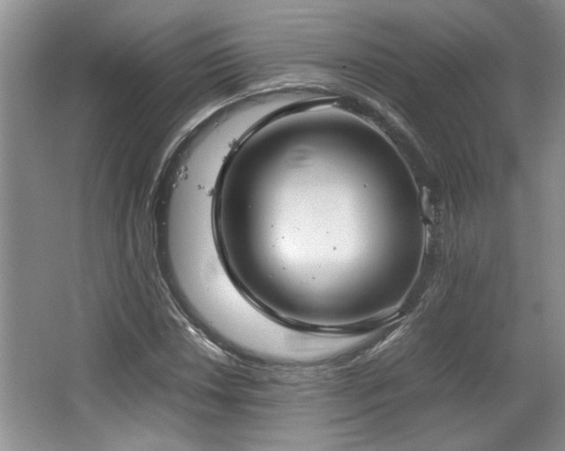 X0000064731018200602101144