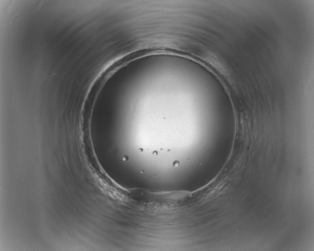 X0000064731020200602101144