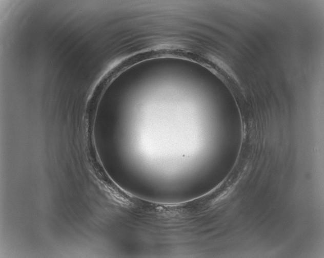 X0000064731021200602101144