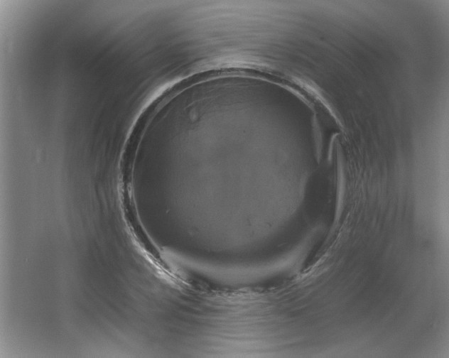 X0000064731024200602101144