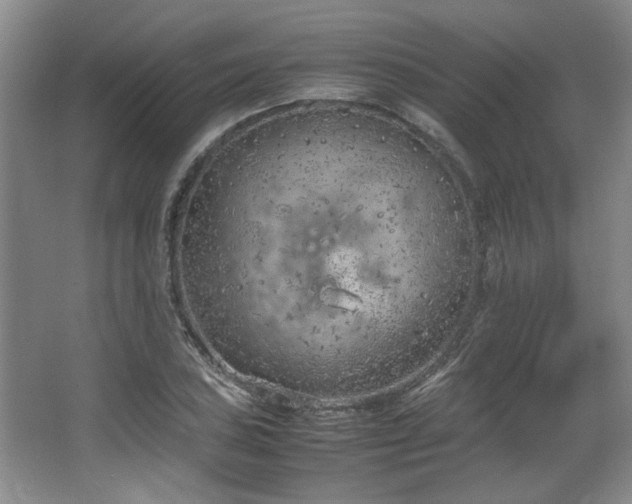 X0000064731027200602101144