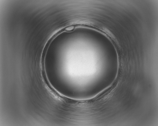 X0000064731028200602101144