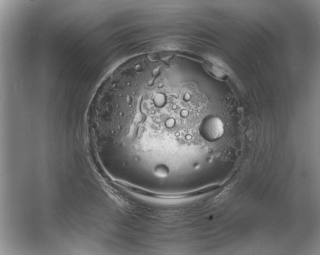 X0000064731031200602101144