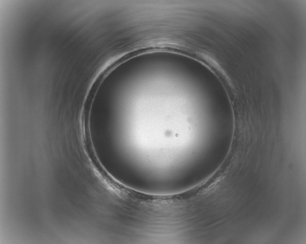 X0000064731032200602101144