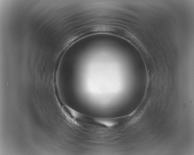 X0000064731033200602101144