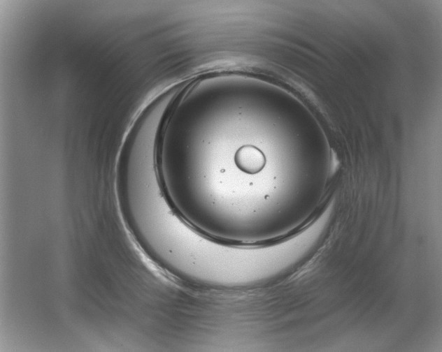 X0000064731034200602101144