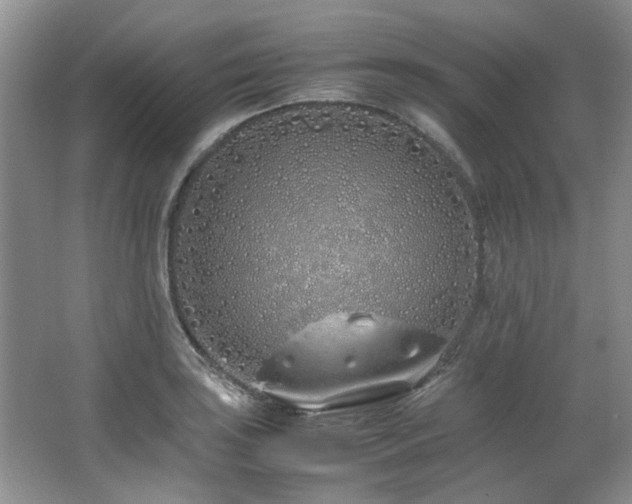 X0000064731035200602101144