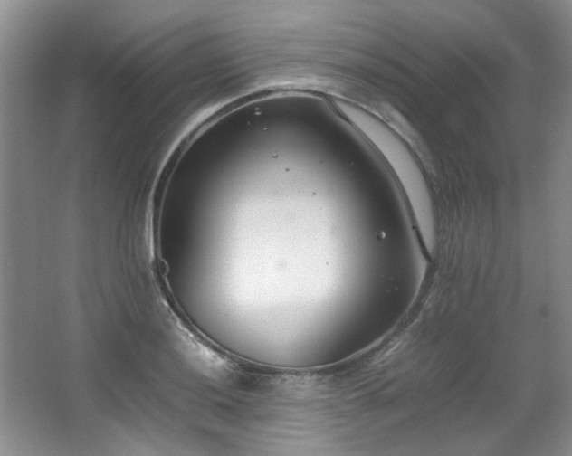 X0000064731036200602101144