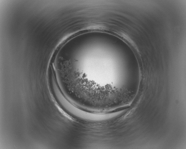 X0000064731037200602101144