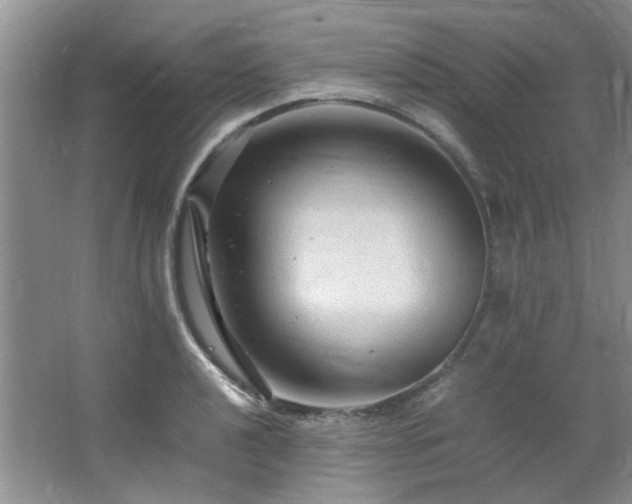 X0000064731040200602101144