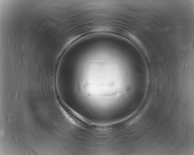 X0000064731041200602101144