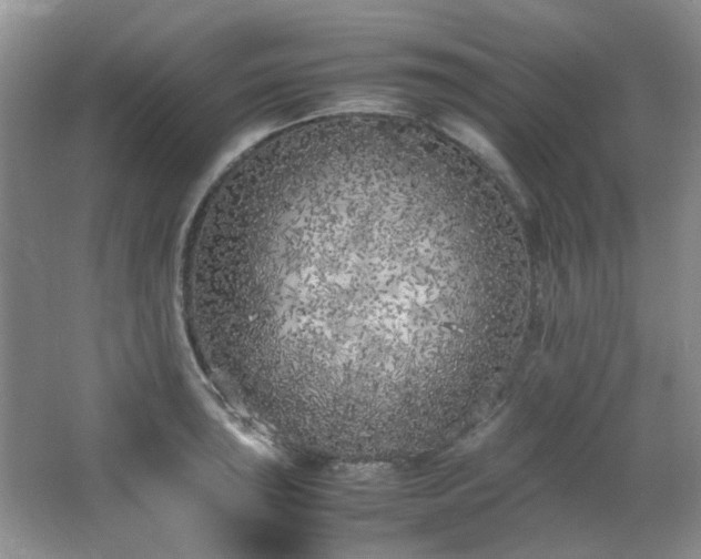 X0000064731043200602101145