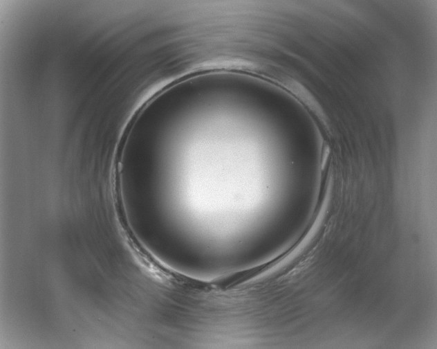 X0000064731044200602101145