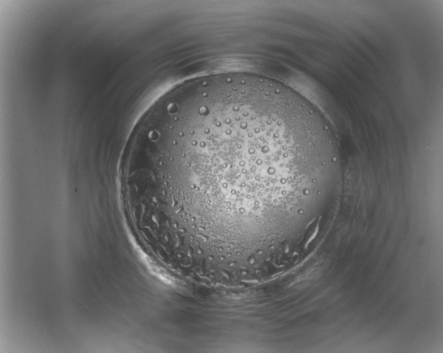 X0000064731047200602101145