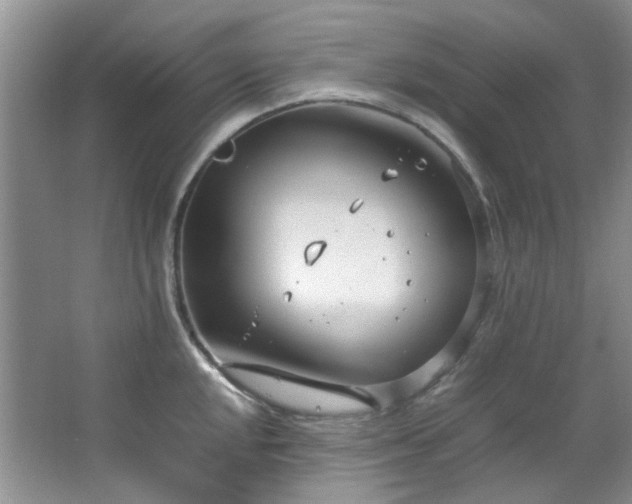 X0000064731048200602101145