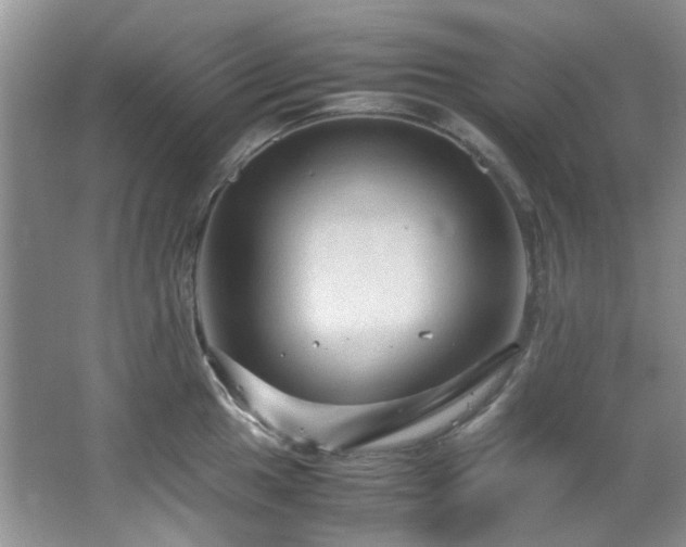 X0000064731049200602101145